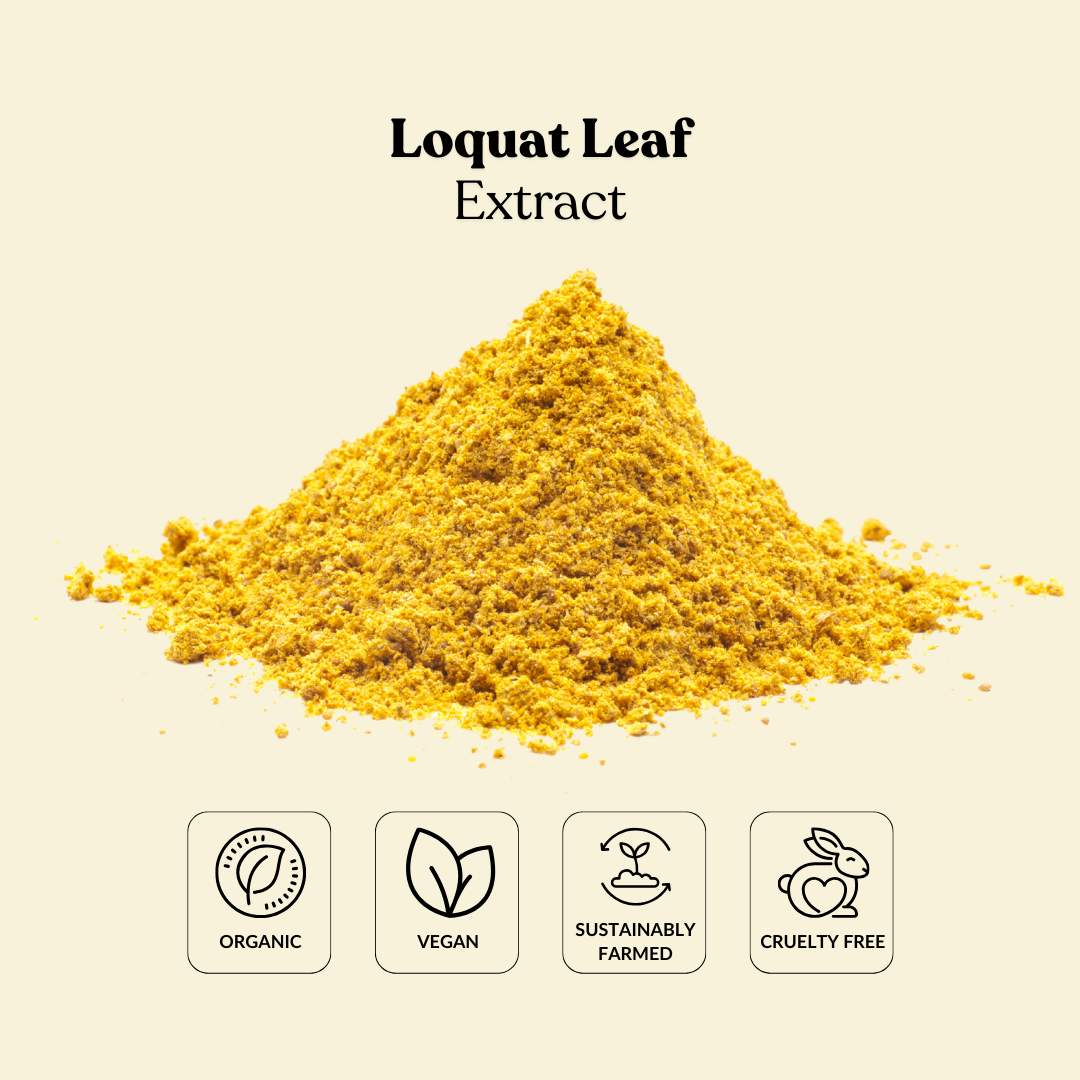 Loquat Extract Loquat Leaf Extract – Total Ingredients