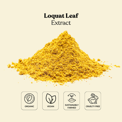 Loquat Leaf Extract