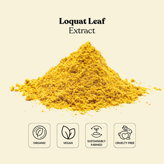 Loquat Leaf Extract