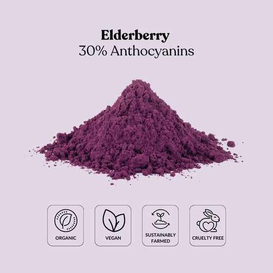 Elderberry 30% Anthocyanins