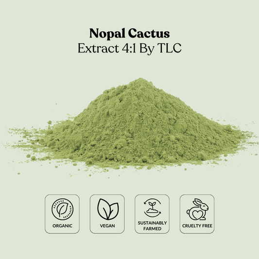 Nopal Cactus Extract 4:1 By TLC