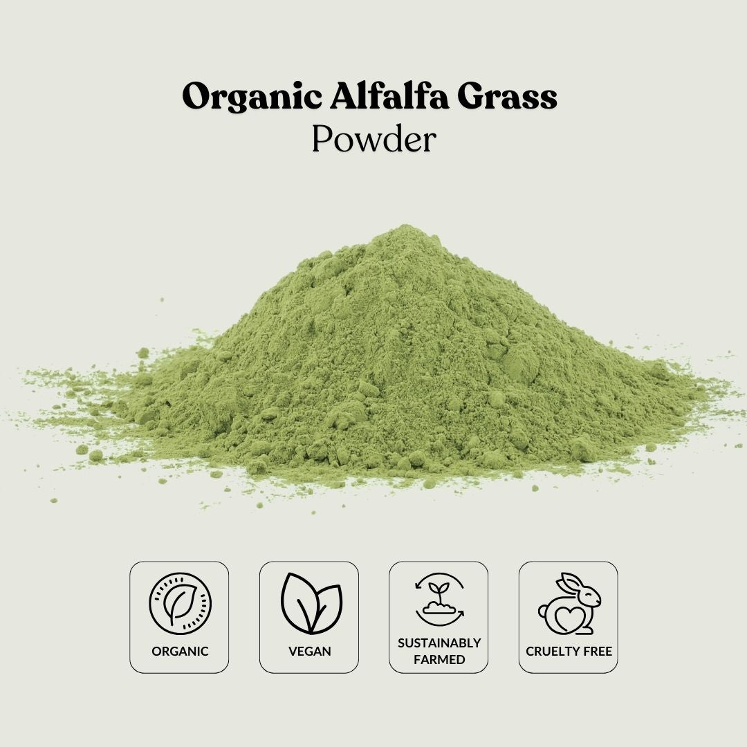 Organic Alfalfa Grass Powder