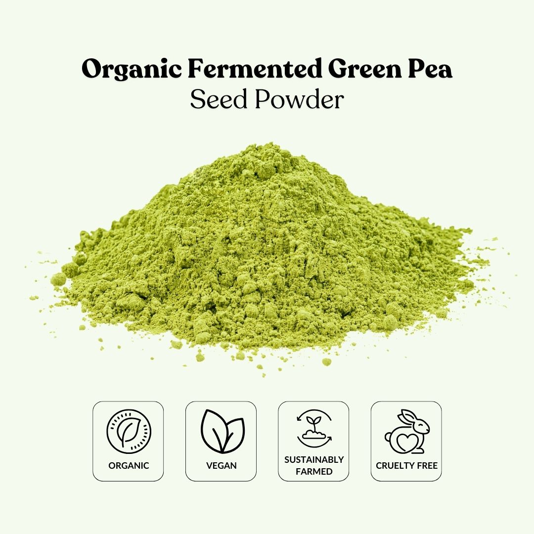 Organic Fermented Green Pea Seed Powder