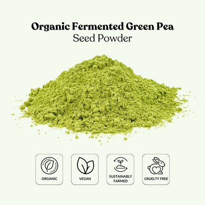 Organic Fermented Green Pea Seed Powder