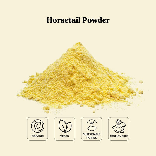 Horsetail Powder