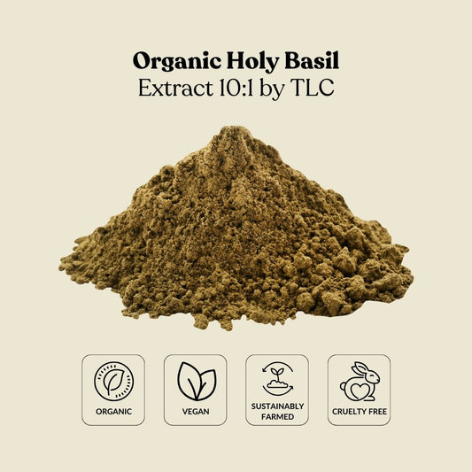 Organic Holy Basil Extract 10:1 by TLC