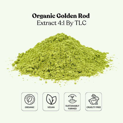 Organic Golden Rod Extract 4:1 By TLC