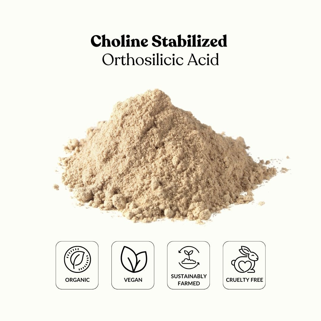 Choline Stabilized Orthosilicic Acid