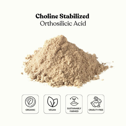 Choline Stabilized Orthosilicic Acid