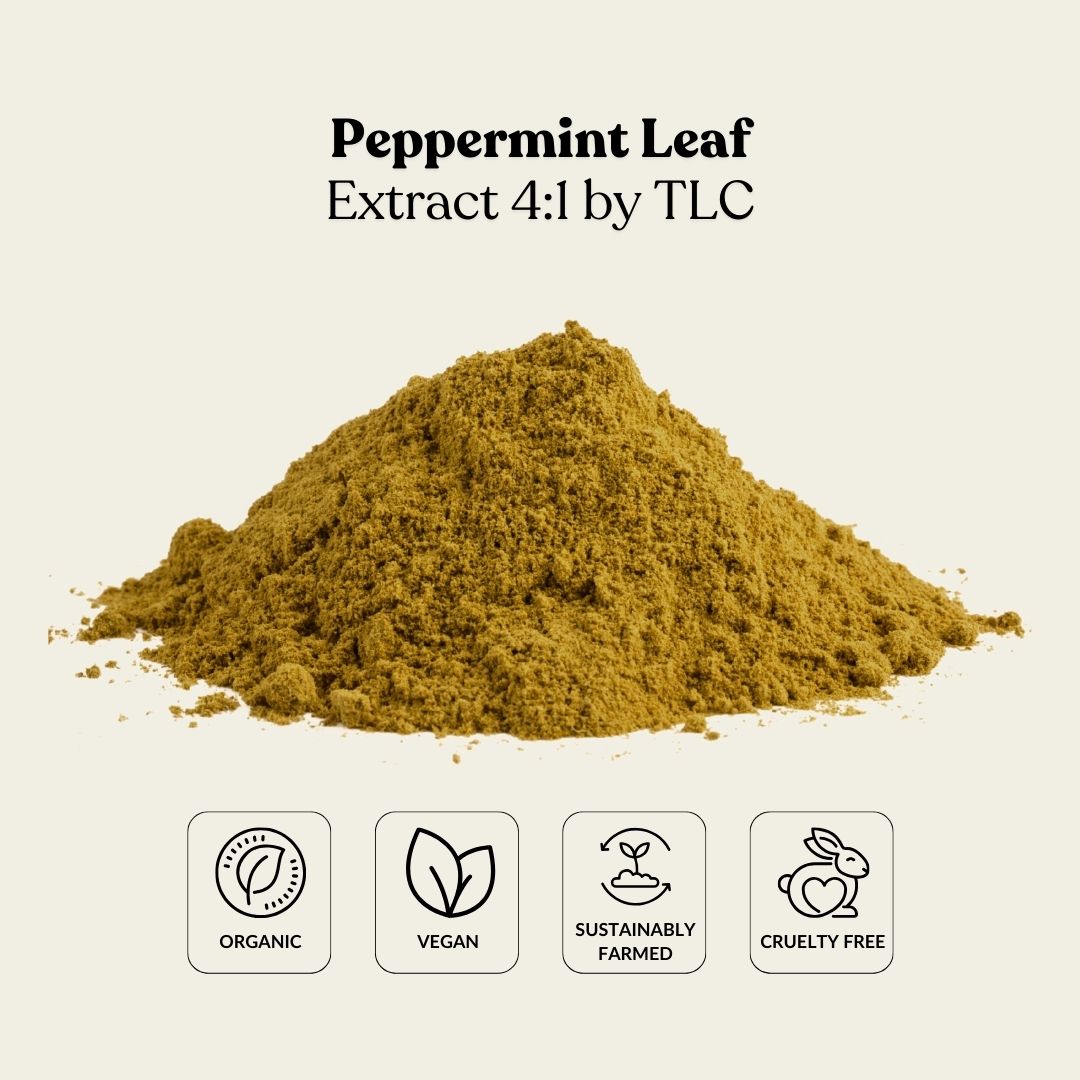 Peppermint Leaf Extract 4:1 by TLC