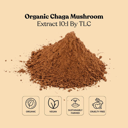 Organic Chaga Mushroom Extract 10:1 By TLC