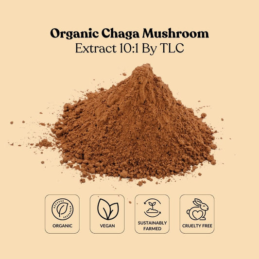 Organic Chaga Mushroom Extract 10:1 By TLC