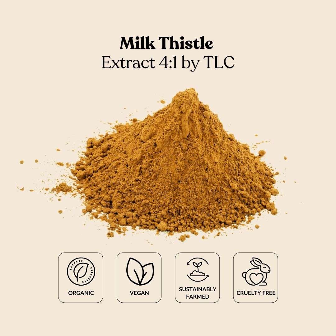 Milk Thistle Extract 4:1 by TLC