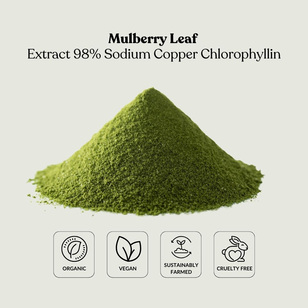 Mulberry Leaf Extract 98% Sodium Copper Chlorophyllin