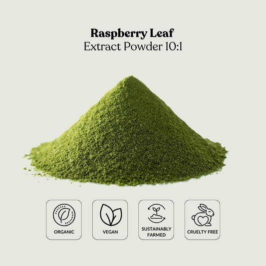 Raspberry Leaf Extract Powder 10:1