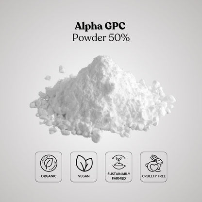 Alpha GPC Powder 50%