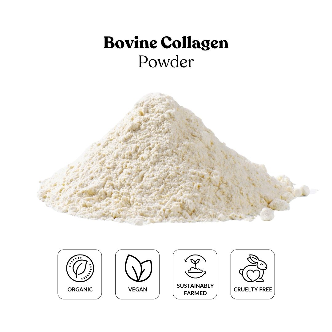 Bovine Collagen Powder