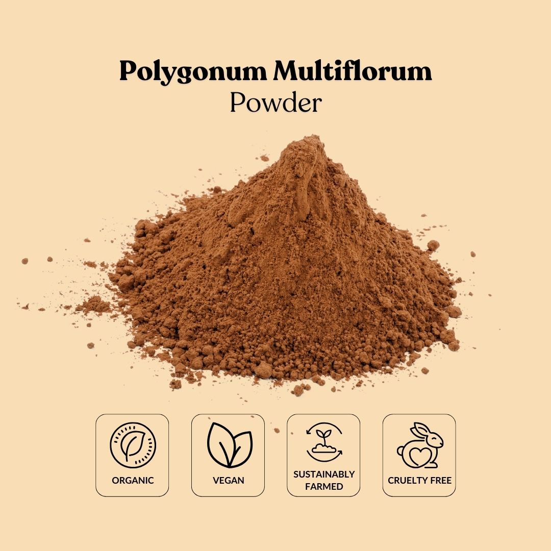 Polygonum Multiflorum Powder