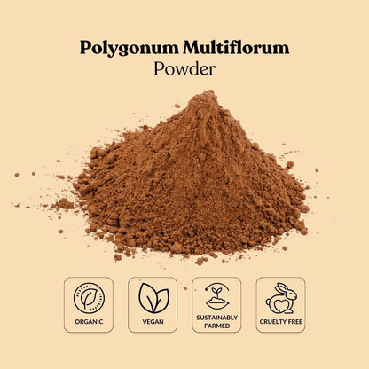 Polygonum Multiflorum Powder