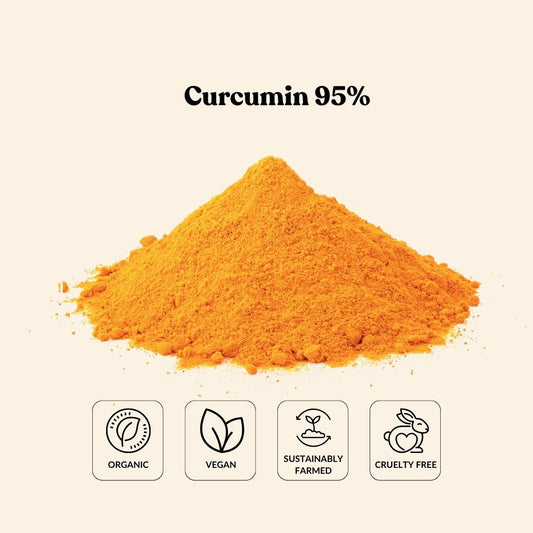 Curcumin 95%