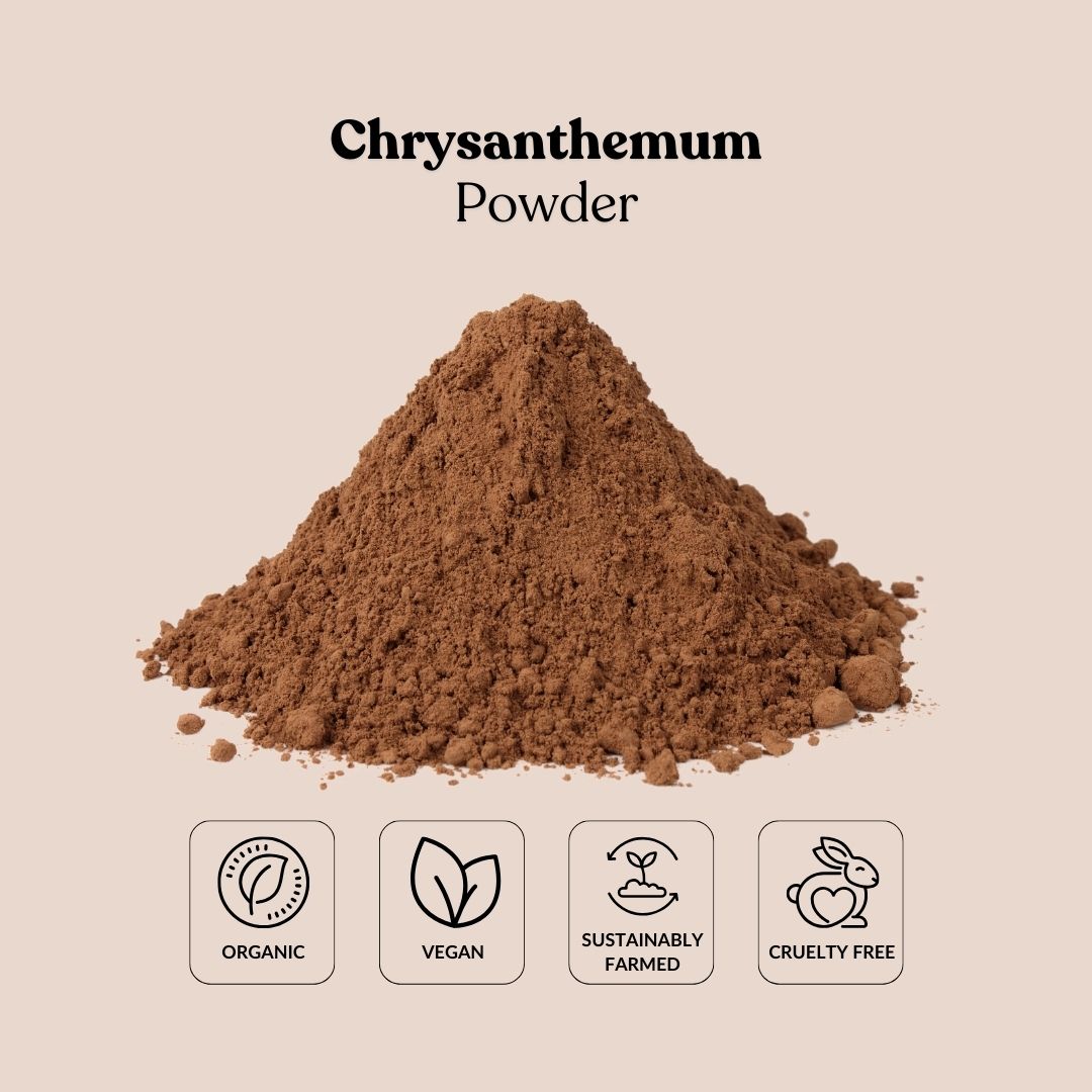 Chrysanthemum Powder