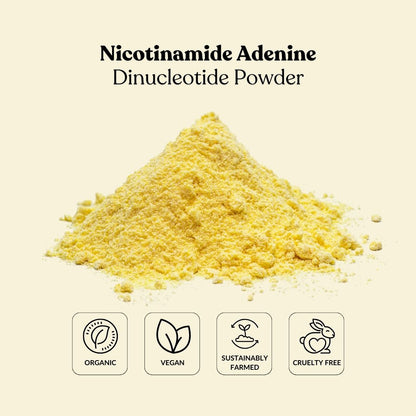 Nicotinamide Adenine Dinucleotide Powder