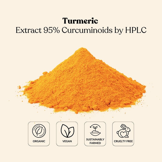 Turmeric Extract 95% Curcuminoids by HPLC