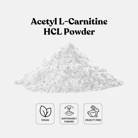 Acetyl L-Carnitine HCL Powder