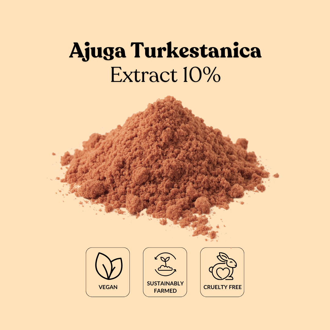 Ajuga Turkestanica Extract 10%