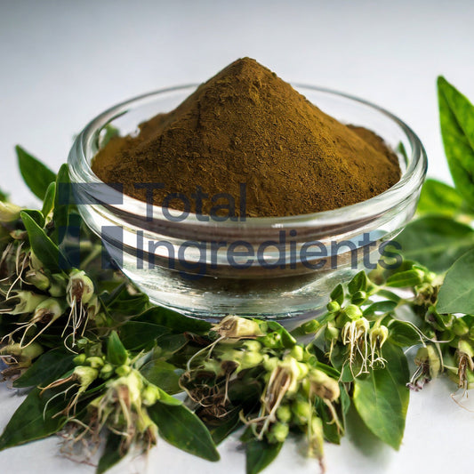 Andrographis Extract 10% by HPLC