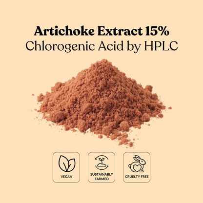 Artichoke Extract 15% Chlorogenic Acid by HPLC