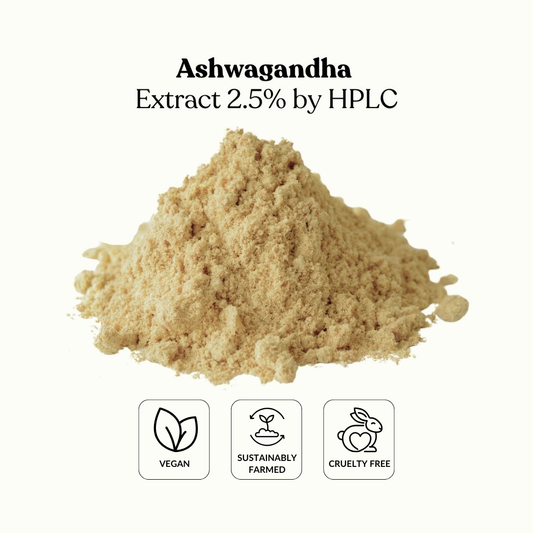 Ashwagandha Extract 2.5% by HPLC