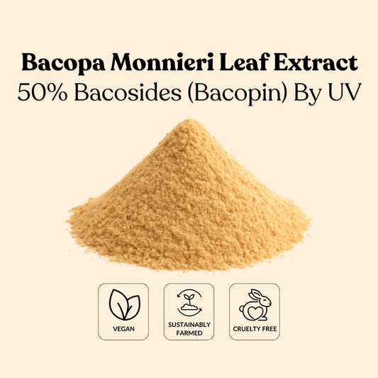 Bacopa Monnieri Leaf Extract 50% Bacosides (Bacopin) By UV