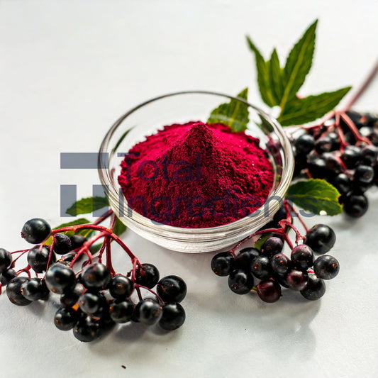 Black elderberry extract (10:1)