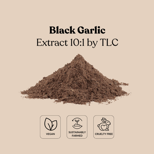 Black Garlic Extract 10:1 by TLC