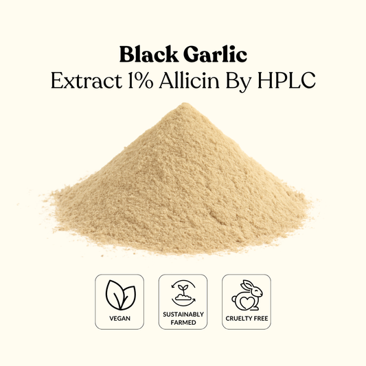 Black Garlic Extract 1% Allicin By HPLC