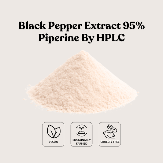 Black Pepper Extract 95% Piperine By HPLC