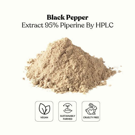 Black Pepper Extract 95% Piperine By HPLC