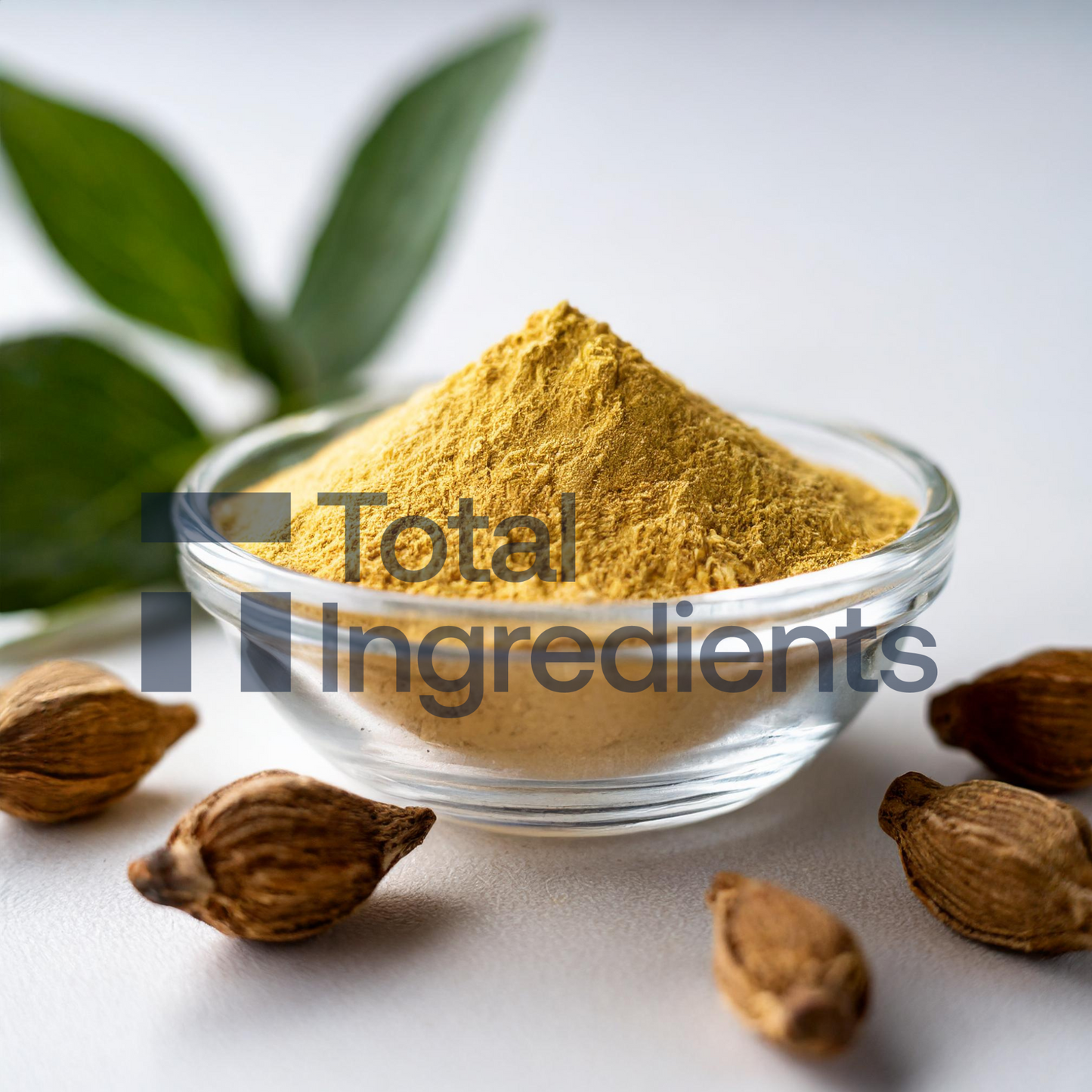 Boswellia Serrata Extract 65% Boswellic acid, Titration