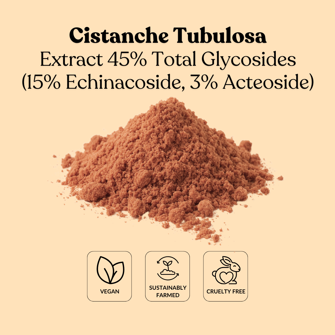 Cistanche Tubulosa Extract 45% Total Glycosides (15% Echinacoside, 3% Acteoside)