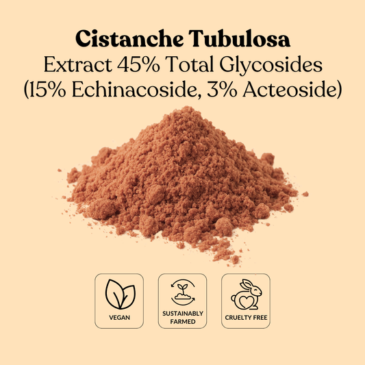 Cistanche Tubulosa Extract 45% Total Glycosides (15% Echinacoside, 3% Acteoside)