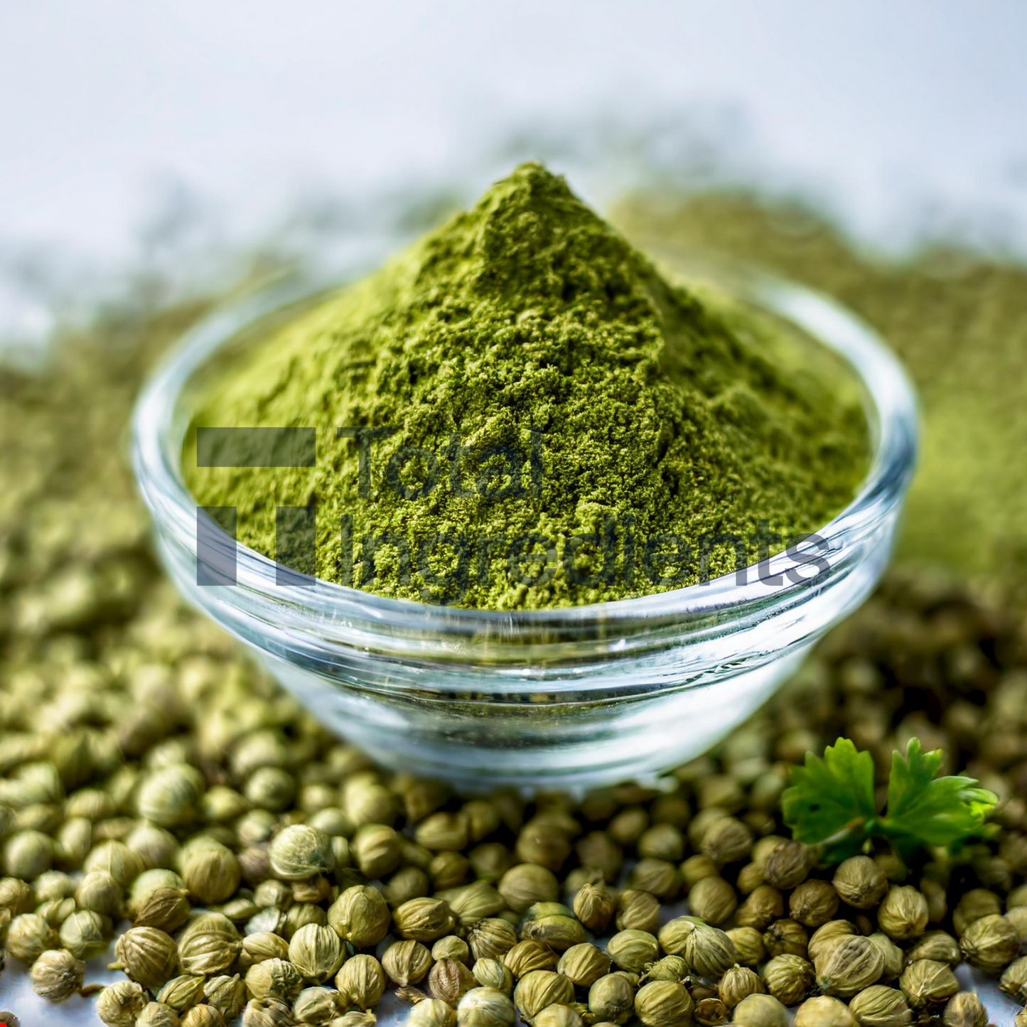 Coriander Powder