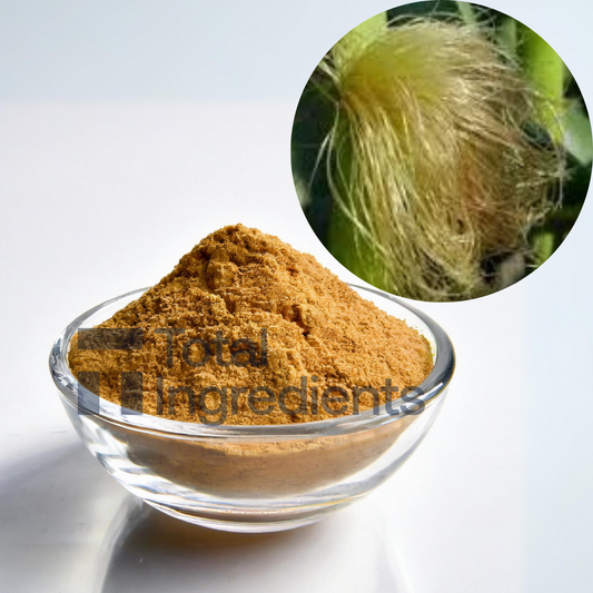 Corn Silk Extract 10:1