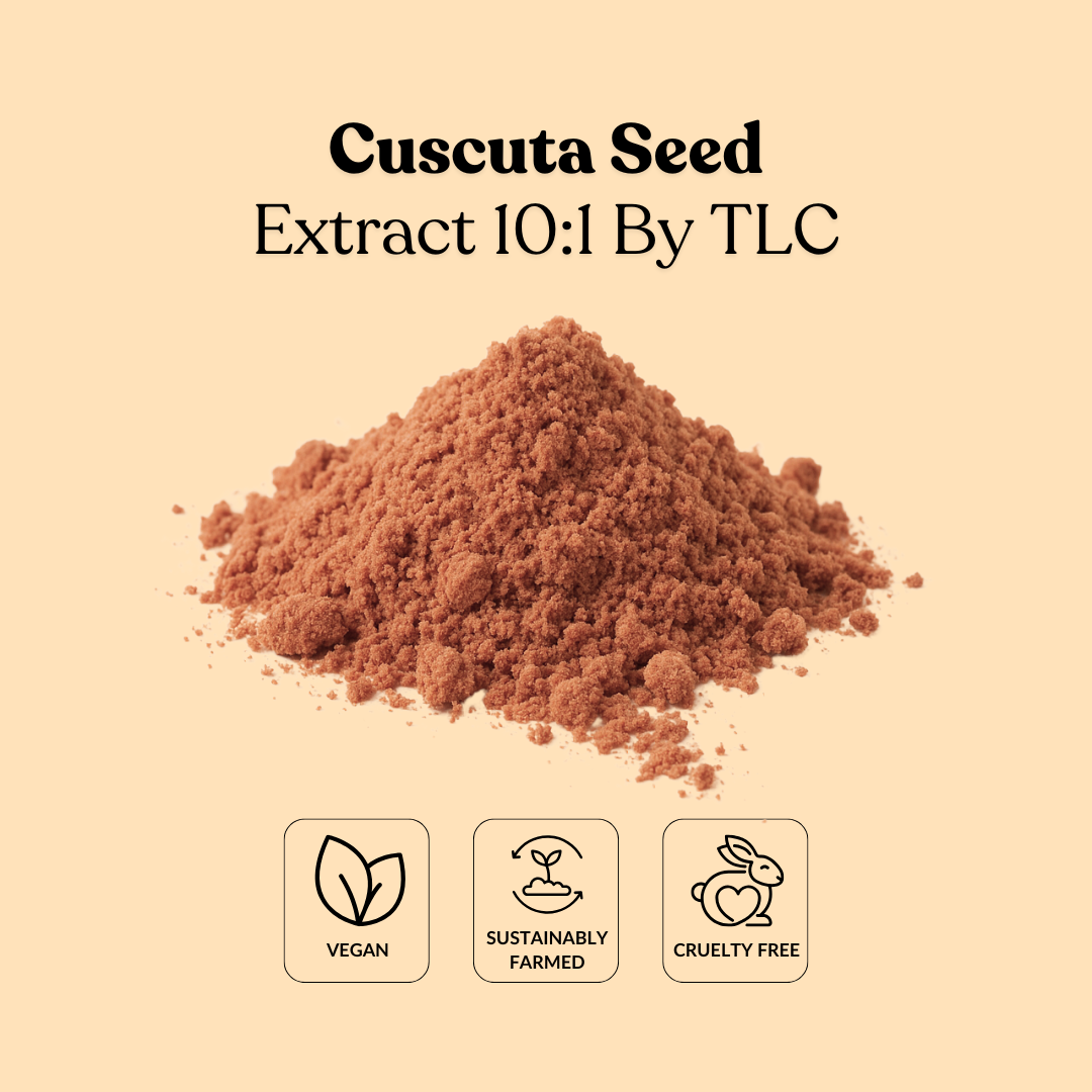Cuscuta Seed Extract 10:1 By TLC