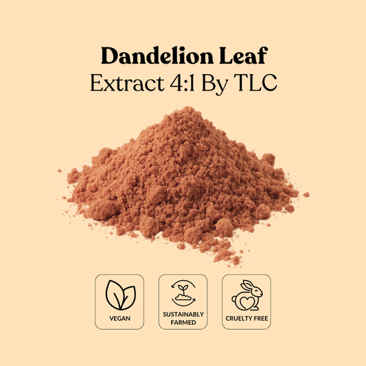 Dandelion Leaf Extract 4:1 By TLC