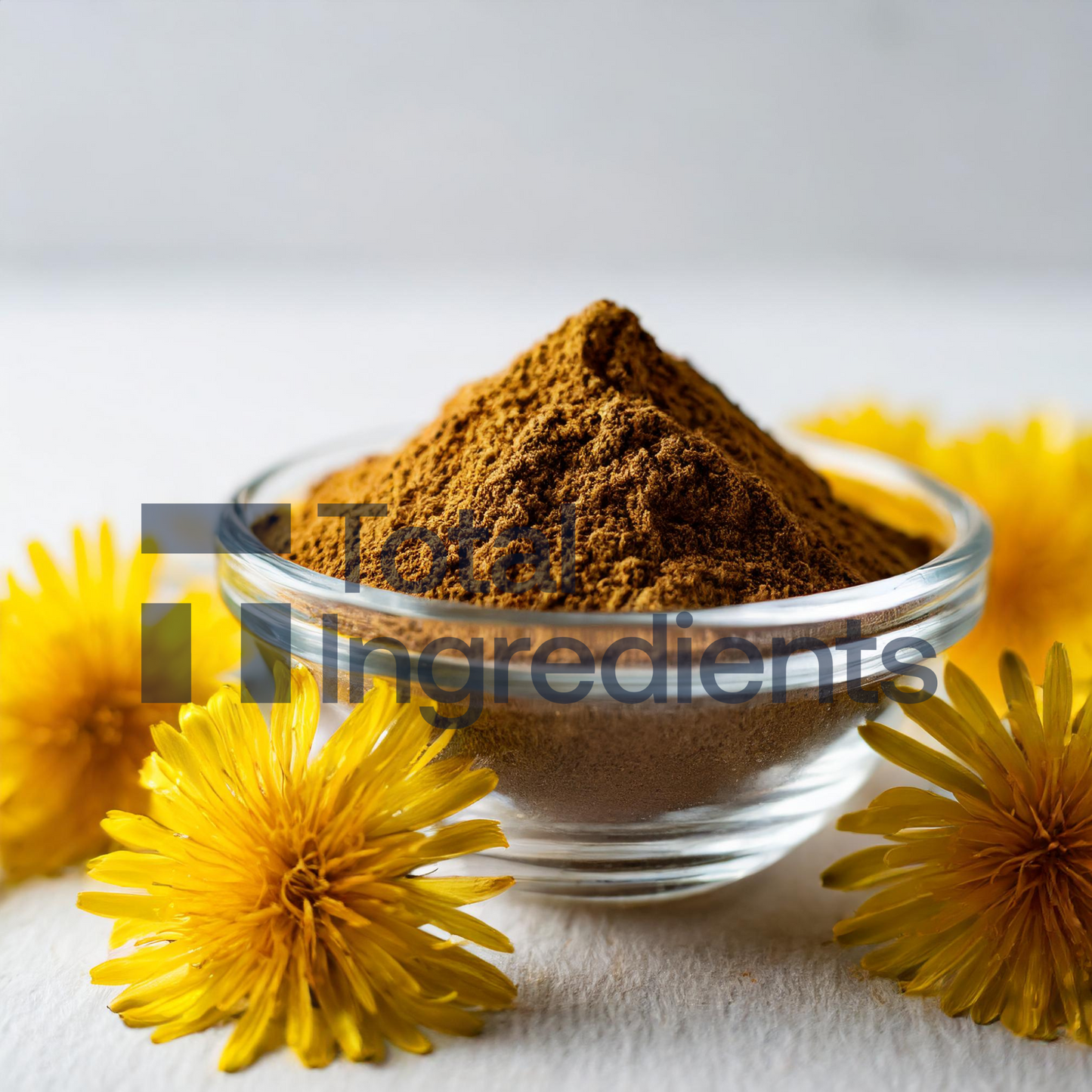 Dandelion Powder