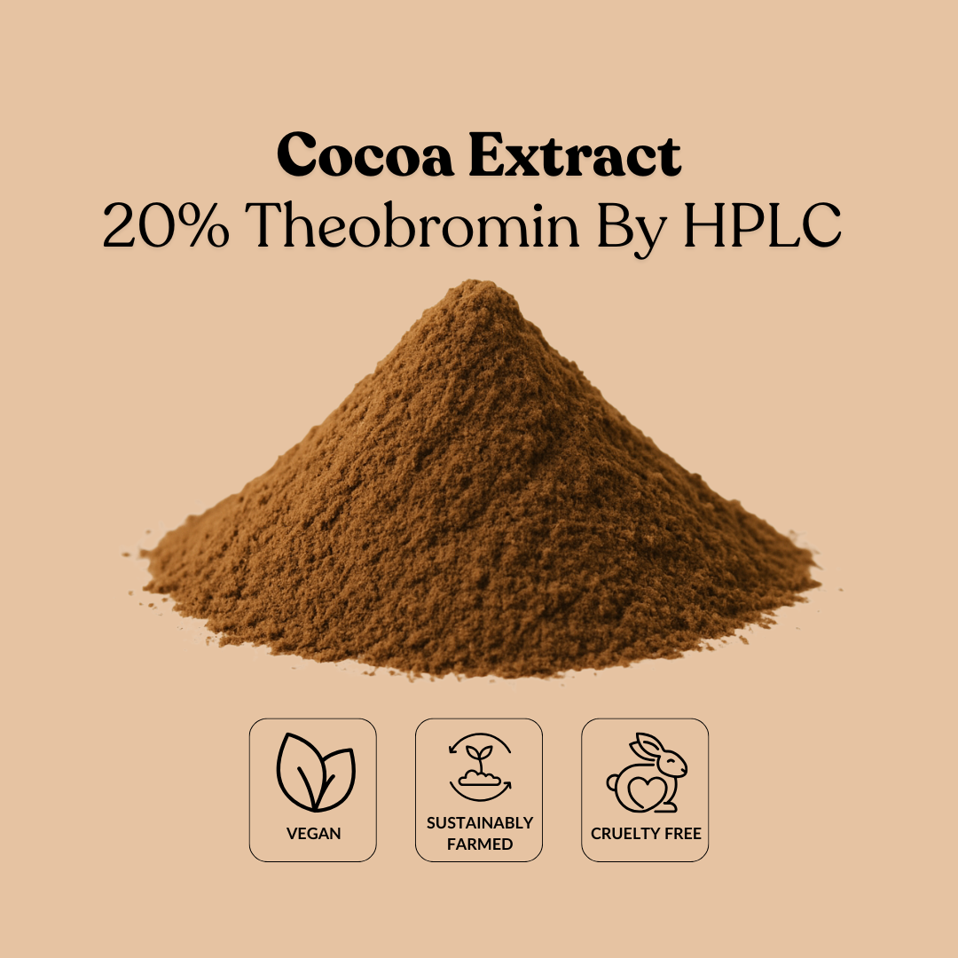 Cocoa Extract 20% Theobromin By HPLC