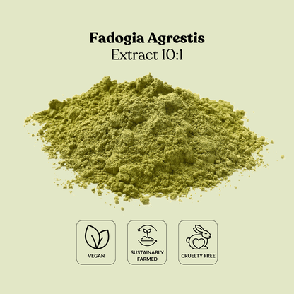 Fadogia Agrestis Extract 10:1