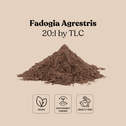 Fadogia Agrestris 20:1 by TLC