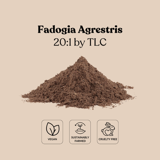Fadogia Agrestris 20:1 by TLC